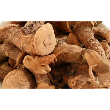 Professional supply new harvest buyer of galangal in china for sale